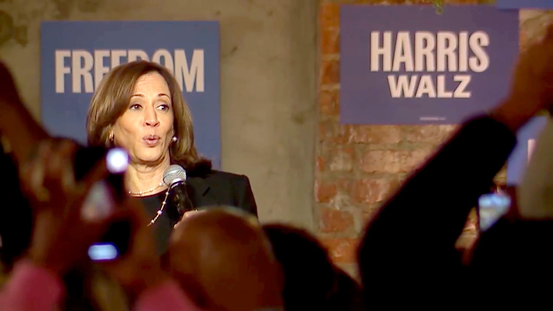 Harris and Trump Vie for Michigan Votes in Key Battleground