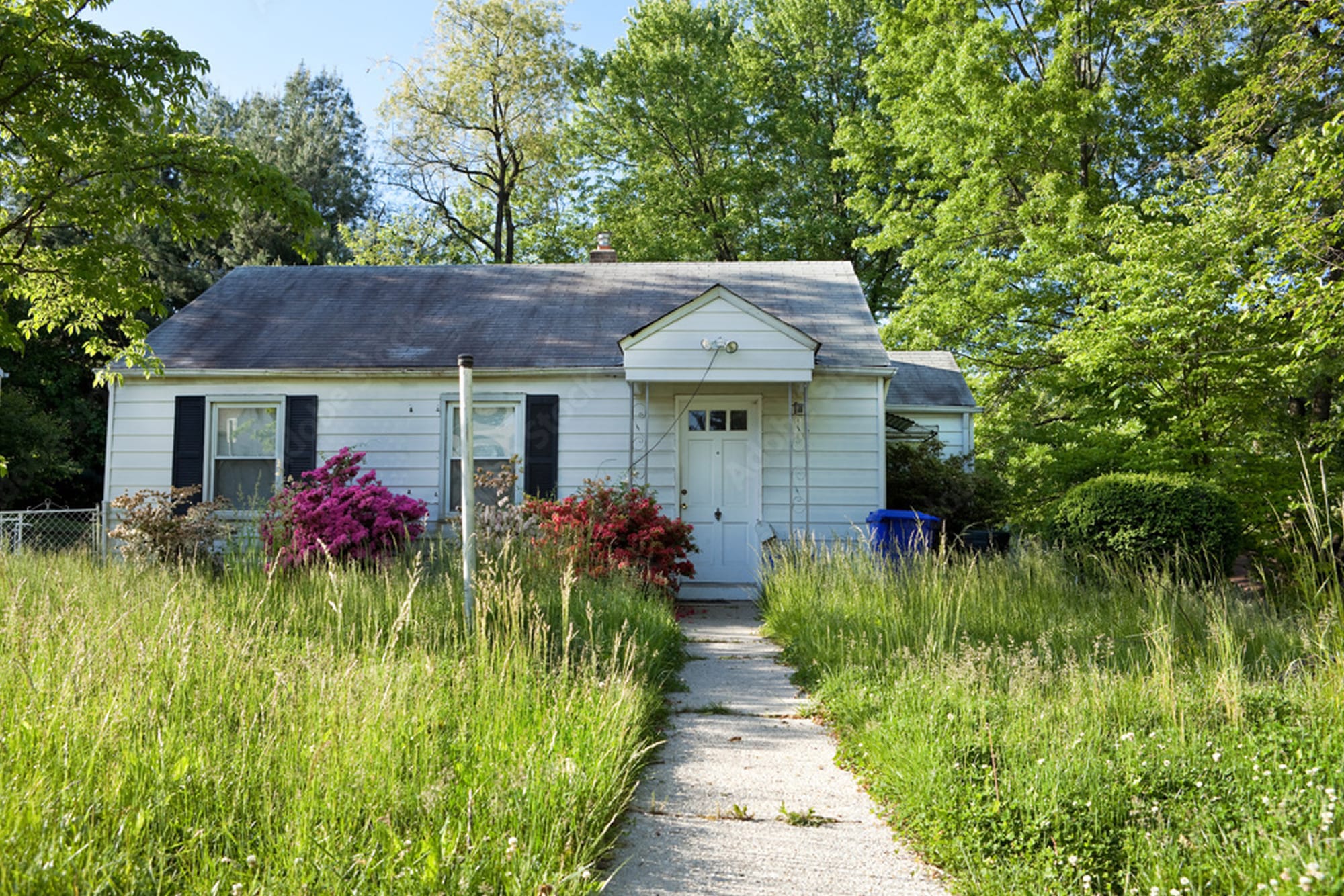 North Baton Rouge Takes Center Stage in New Blight Cleanup Initiative