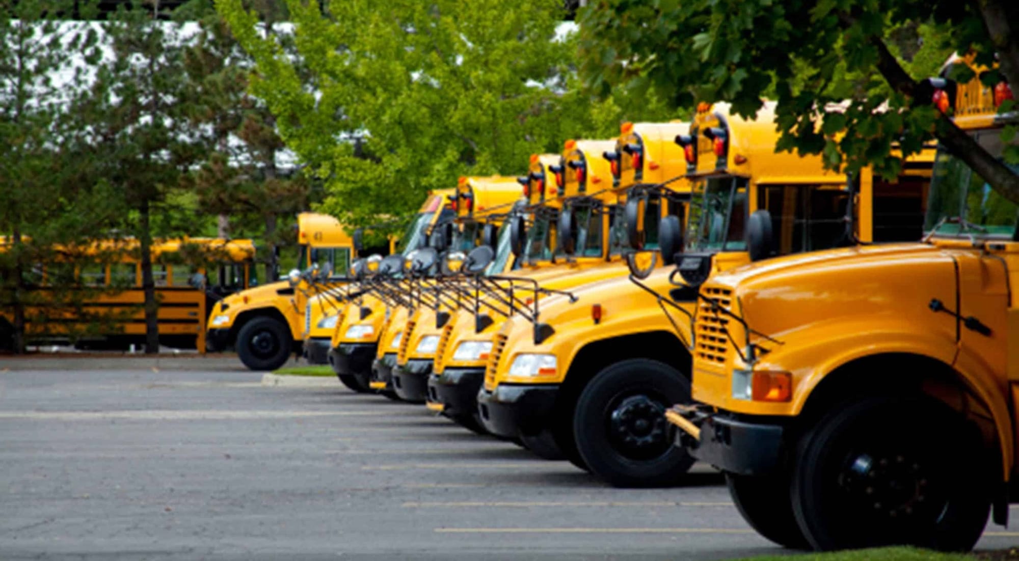 Baton Rouge School District May Hire First Student to Cover Bus Routes Amid Driver Shortages