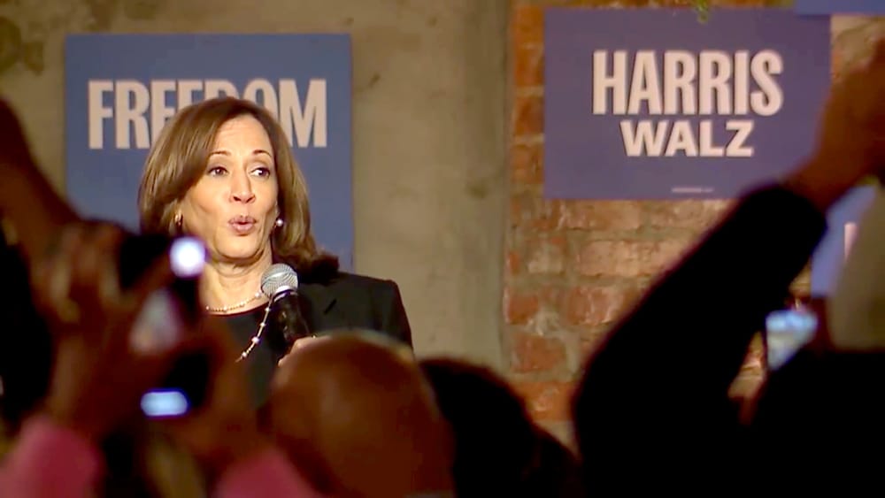 Harris and Trump Vie for Michigan Votes in Key Battleground post image