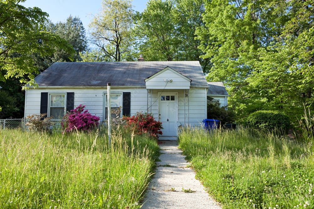 North Baton Rouge Takes Center Stage in New Blight Cleanup Initiative post image